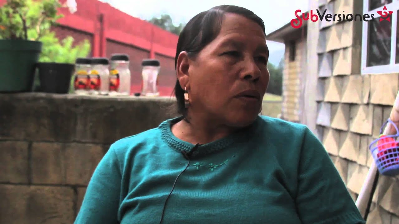 Algunos proyectos productivos en el Cherán autónomo