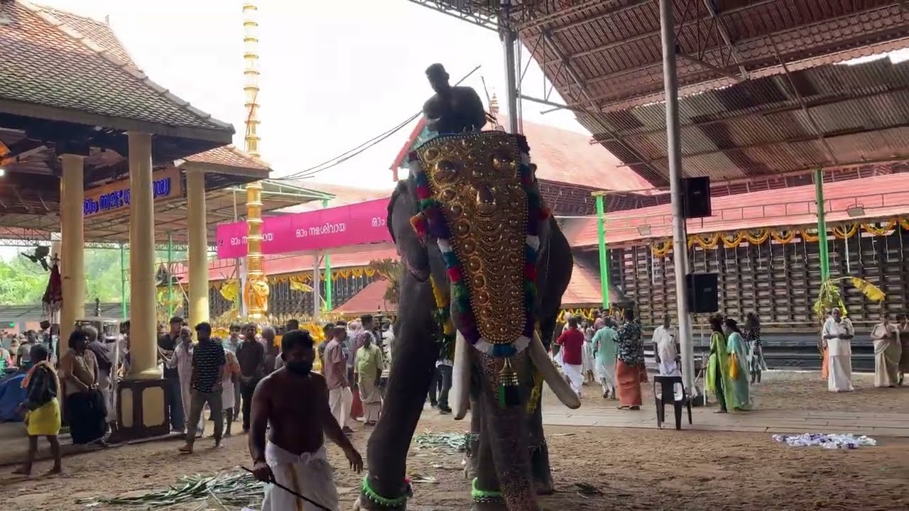 Ettumanoor Mahadeva temple ❤️‍🔥