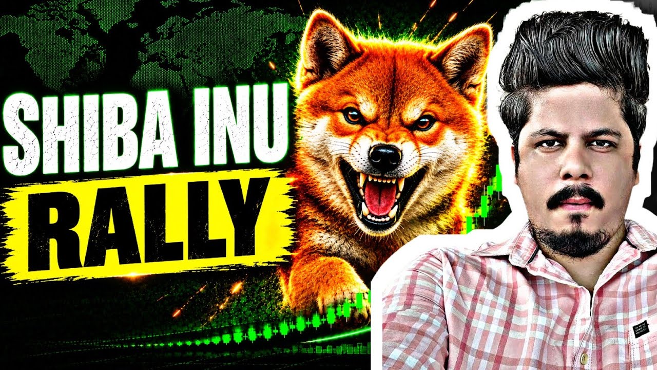 Shiba Inu Rally