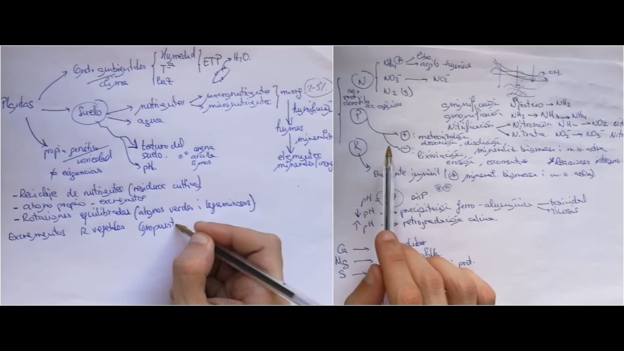 Factores que intervienen en el crecimiento de las plantas (Nutrientes plantas, ciencia y Fitotecnia)