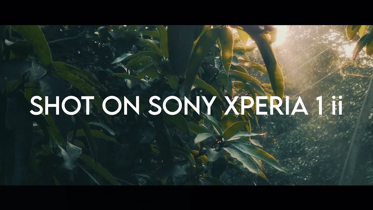 Sony Xperia 1 ii cinematic | 4k video
