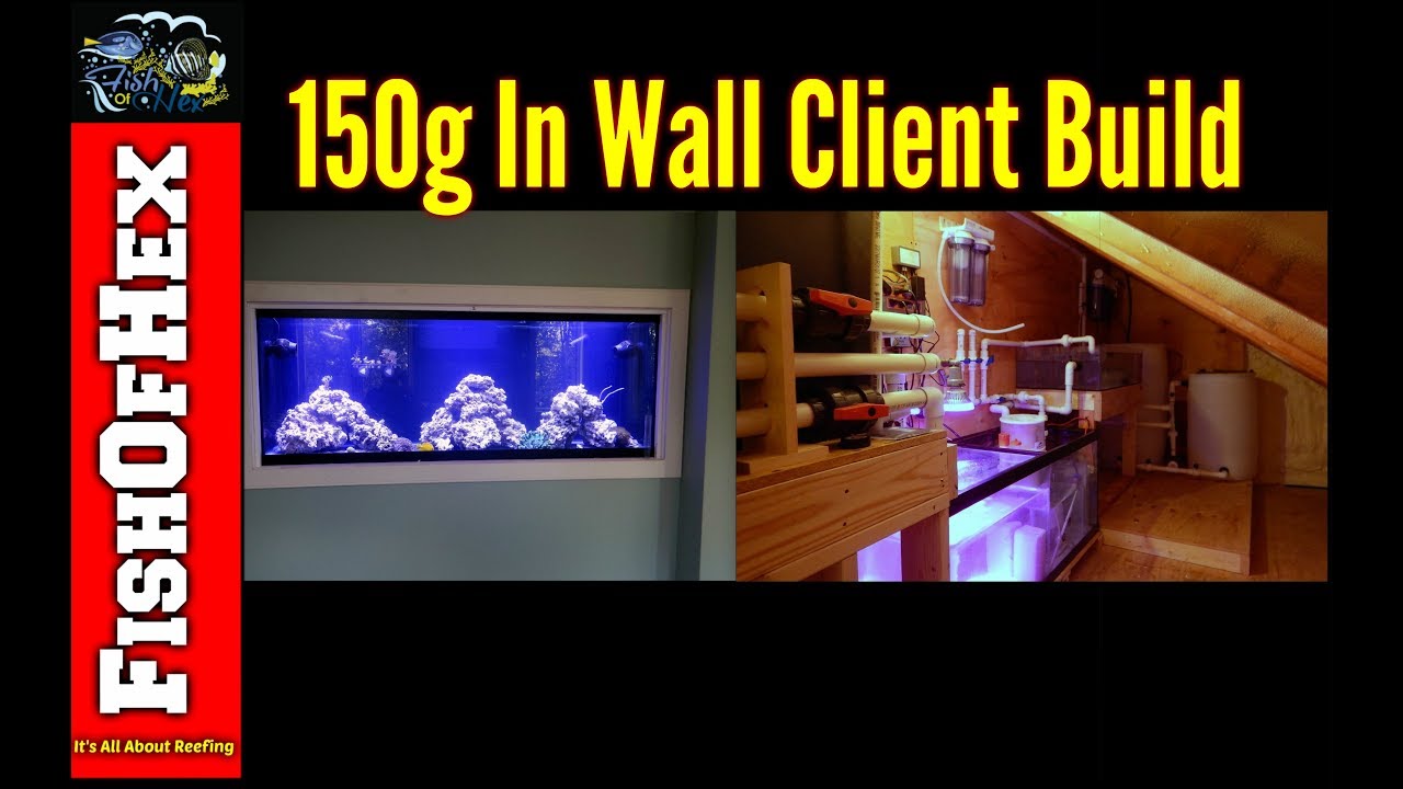Jeff's 150 Gallon In Wall Reef Tank Build | Client Builds