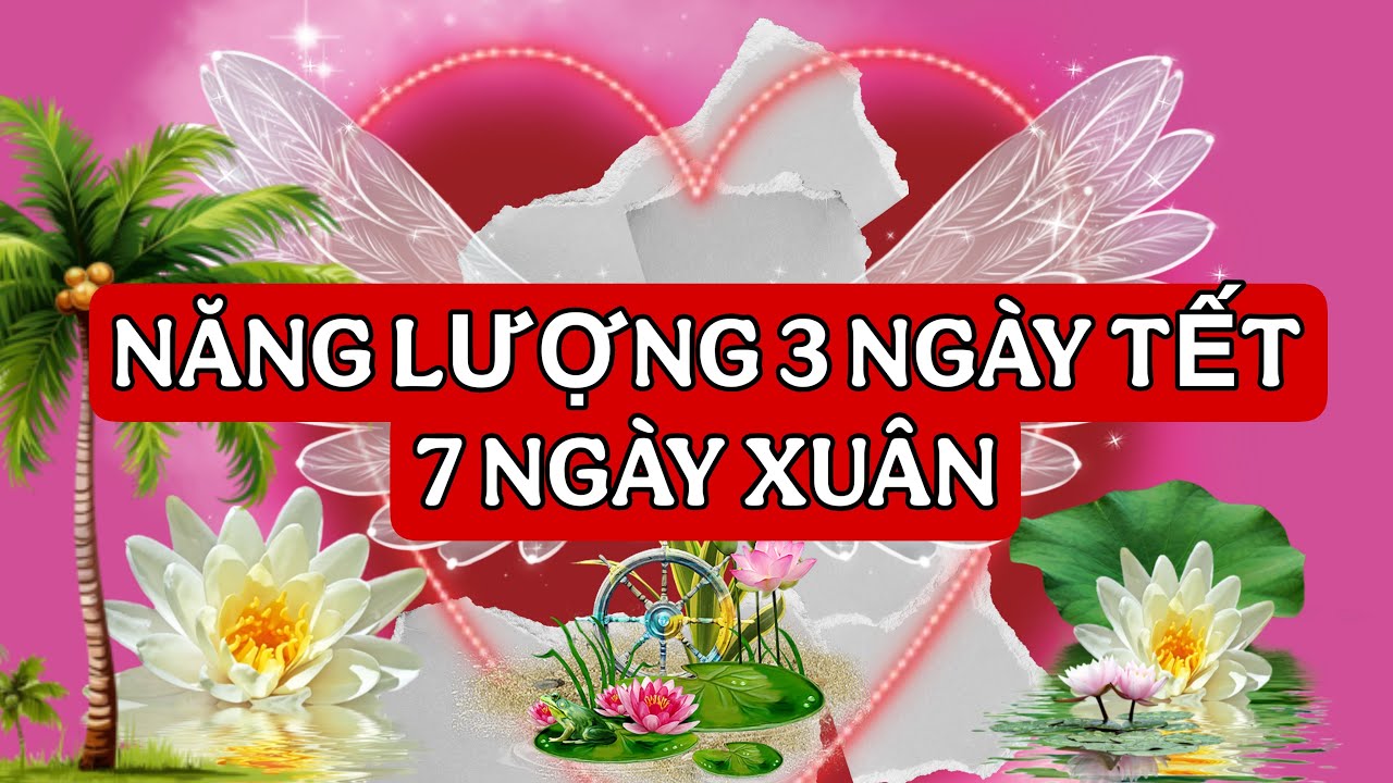 NĂNG LƯỢNG 3 NGÀY TẾT 7 NGÀY XUÂN CỦA BẠN RA SAO 🎏🎋Người đưa thư #236