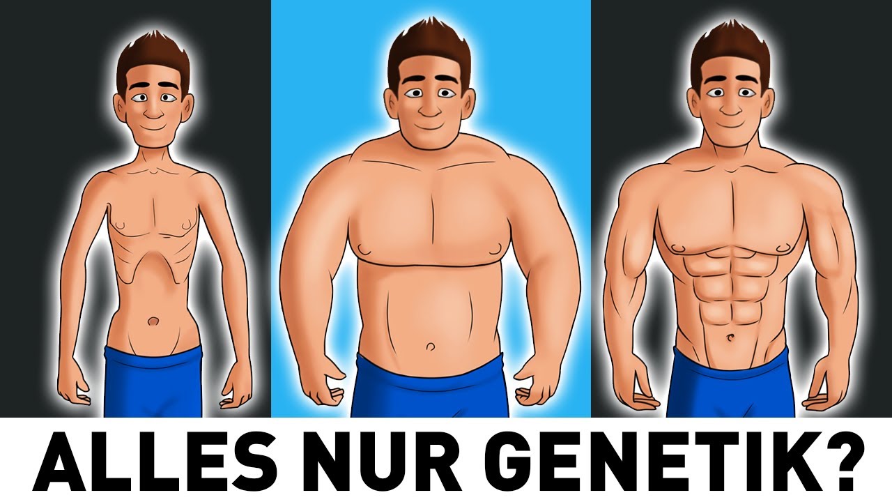 Wie gut ist Deine GENETIK wirklich, um Muskeln aufzubauen? 🤔