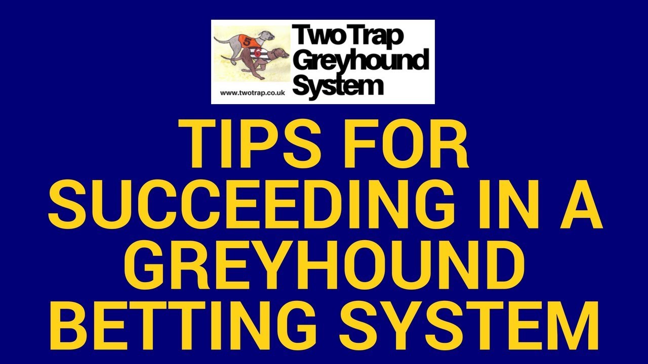 Tips for Succeeding in a Greyhound Betting System | Betting Systems That Win