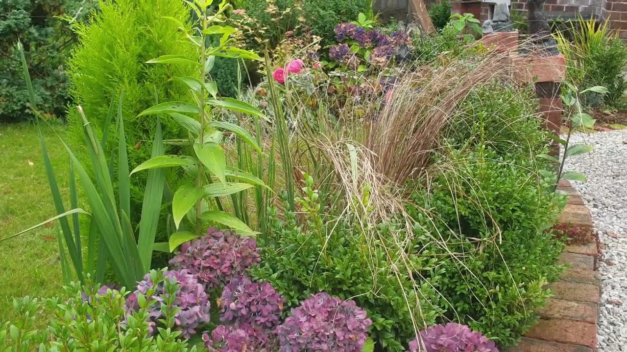 Angela garden: front and back garden tour .