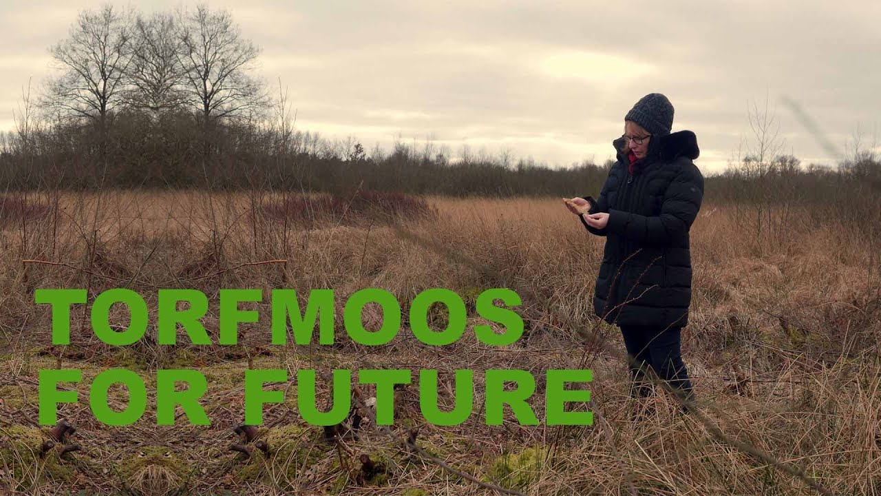 Torfmoos for Future