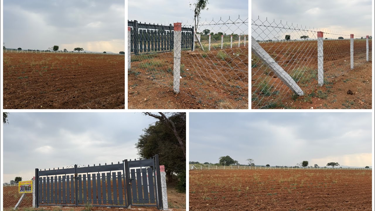 2..Acre 16 Gunte..1 Acre price 38 Laksha mysore Gundlupete NH 6 km call👉☎️8197706071👉☎️8147552201❤️