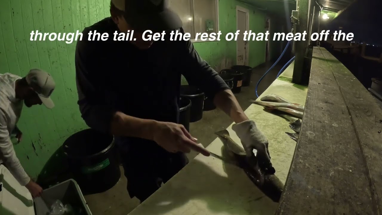 HOW TO FILET A REDFISH IN UNDER 3 MINUTES‼️
