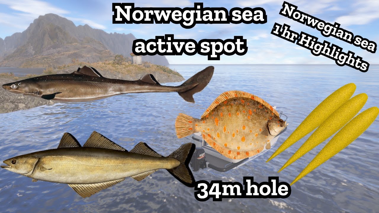 Norwegian sea active spot | 34 m | Nanstein | Russian fishing 4 | rf4 | #seafishing #russianfishing4