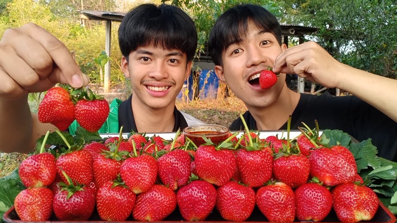 สตอเบอรี่ลูกใหญ่ๆ หวาน กรอบ ฉํ่ามากๆ