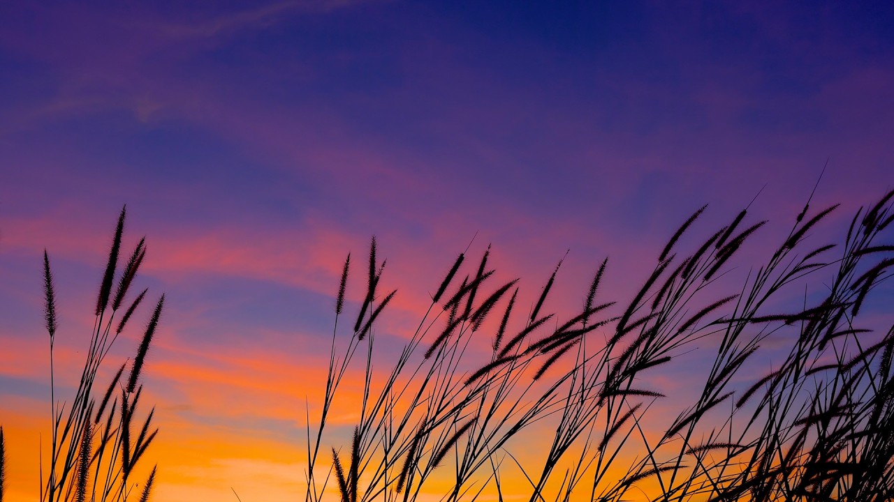 Peaceful Spring Morning Sunrise, Beautiful Relaxing Hymns, Peaceful piano Music by Tim Janis