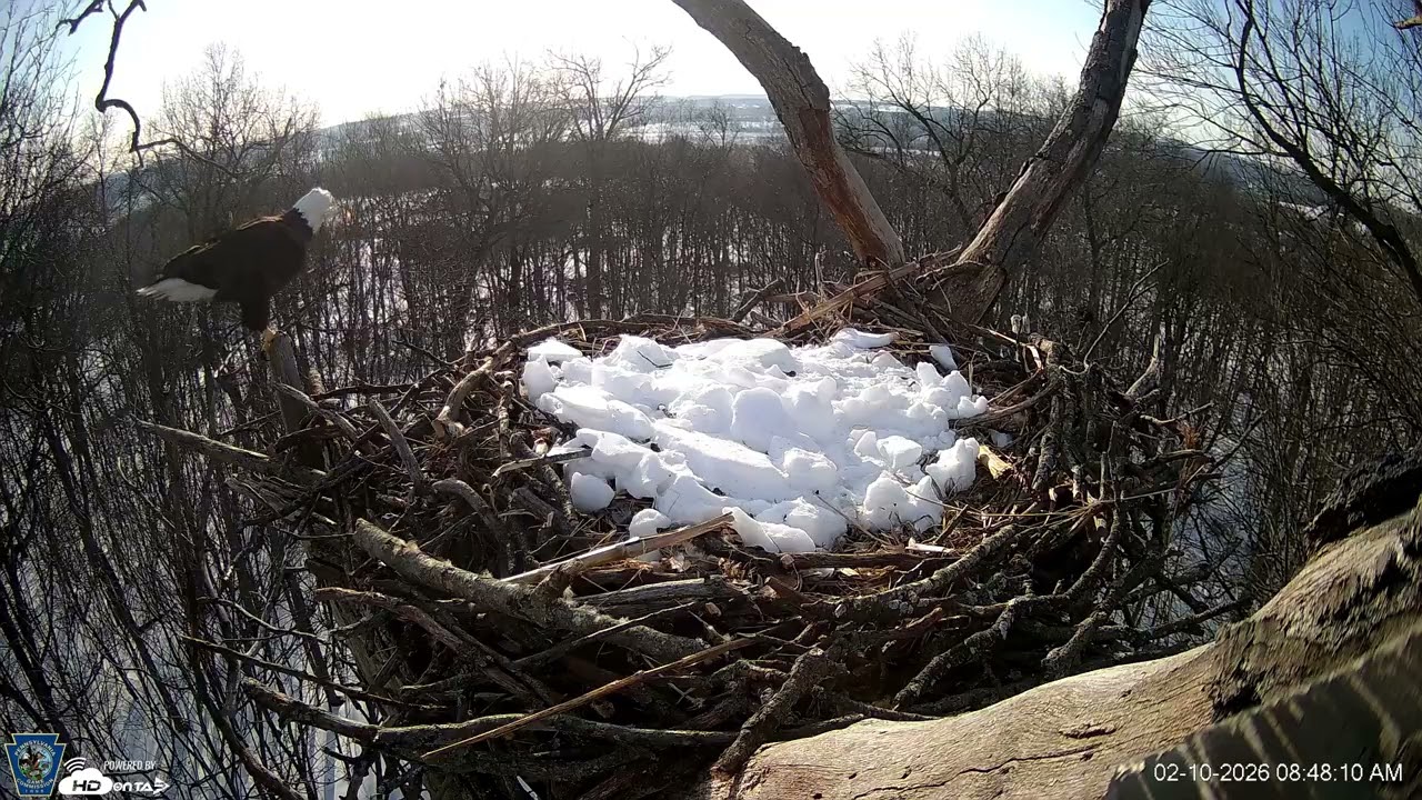 Hanover Eagles Live Cam   HDOnTap — Mozilla Firefox 2026 02 10 08 43 38