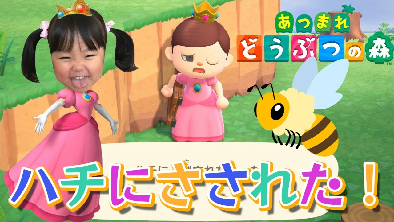 【あつまれどうぶつの森】いずちゃん2回もハチにさされる！　2回目のお仕事もするよ★　ゲーム実況　教育【まりちゃんいずちゃんチャンネル】