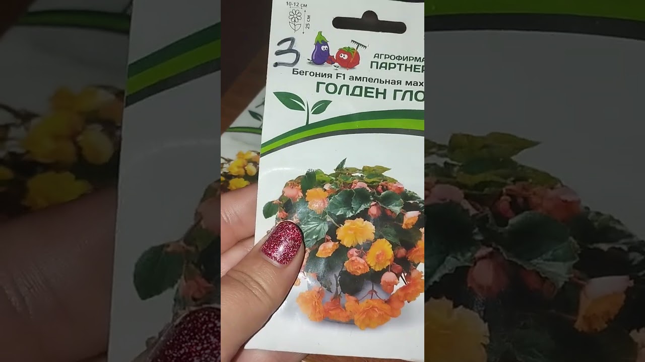 Клубневые бегонии. Какие сорта взошли. А какие я больше сажать не буду!!!