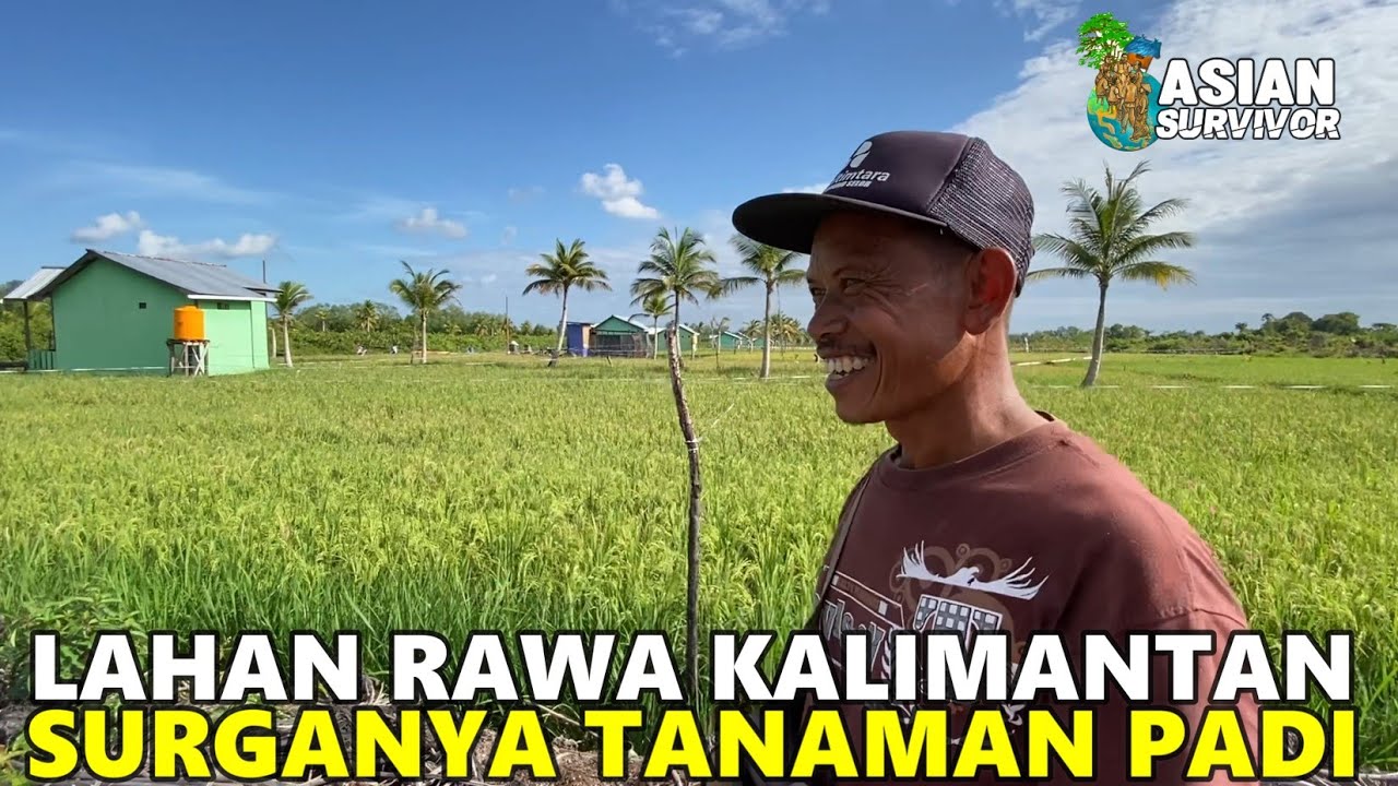 BUAH PERJUANGAN WARGA TRANSMIGRASI DI LAHAN PASANG SURUT PESISIR KALIMANTAN UTARA, SP10 TANJUNG BUKA