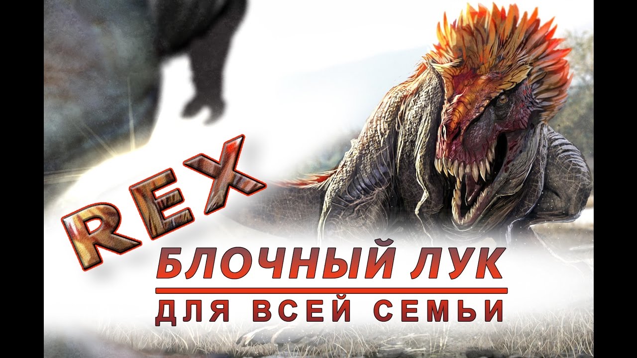 Rex,  блочный лук для всей семьи.
