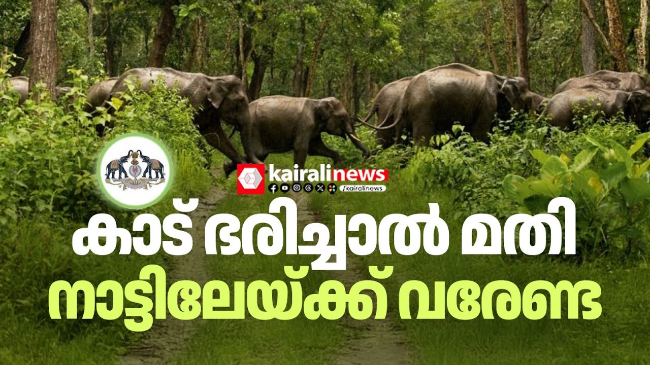 വന്യ മൃഗങ്ങള്‍ ജനവാസ മേഖലയിലേയ്ക്ക് ഇറങ്ങുന്നത് തടയാൻ പദ്ധതിയുമായി വനം വകുപ്പ് | Forest Department