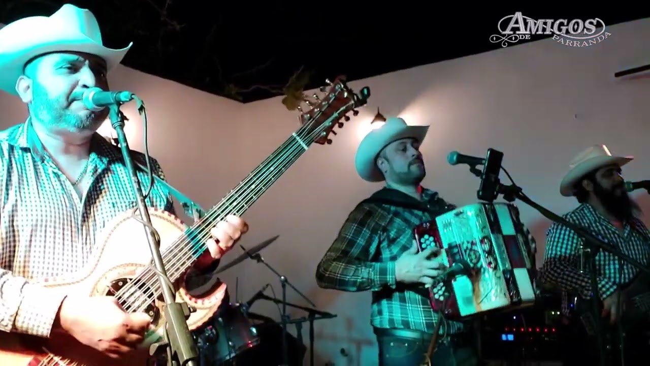 Amigos de Parranda de Culiacán - Amor de Cuatro Paredes (En Vivo desde Culiacán) #fyp #trending