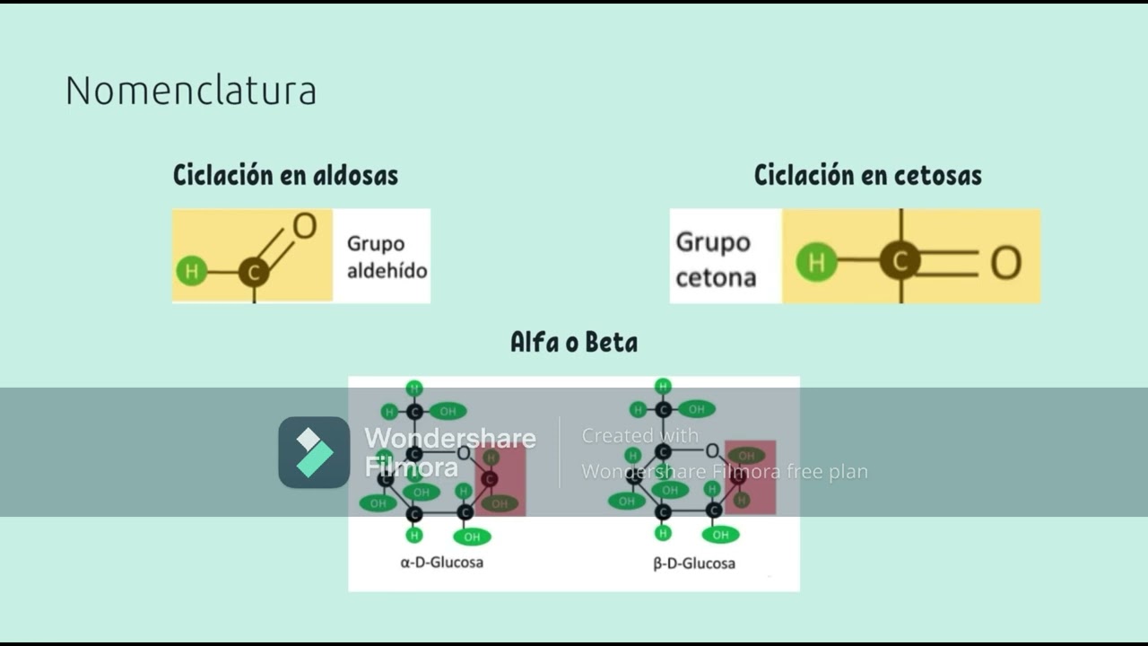 Ciclaci&oacute;n de Carbohidratos