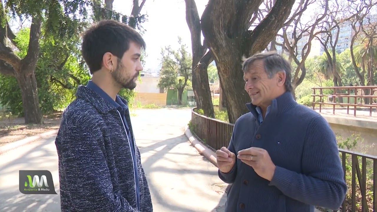 ¿Cómo debe ser el arbolado urbano?