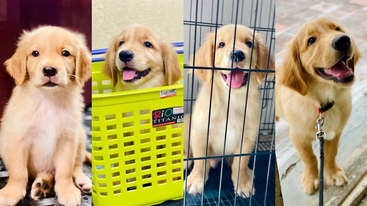 Tiny Bubbles Compilation 🥹❤️