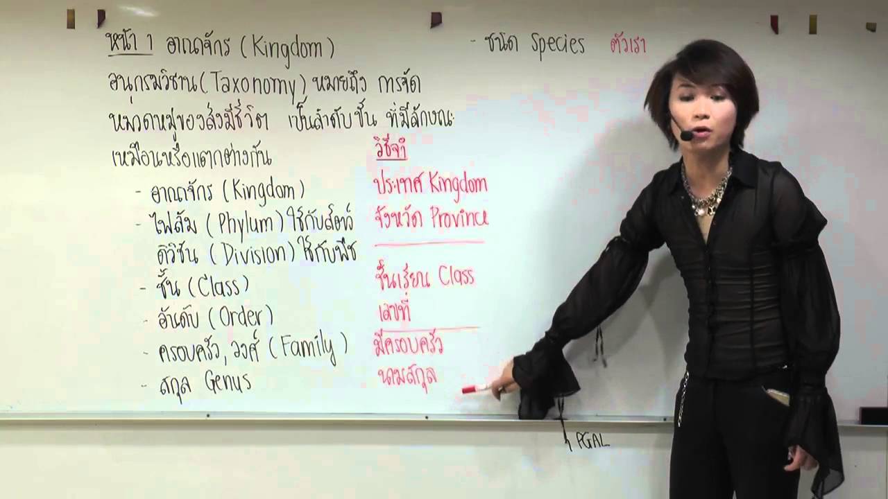 Sci 5A ชีววิทยาสัตว์ 1 อ.บิ๊ก A.BIG CENTER