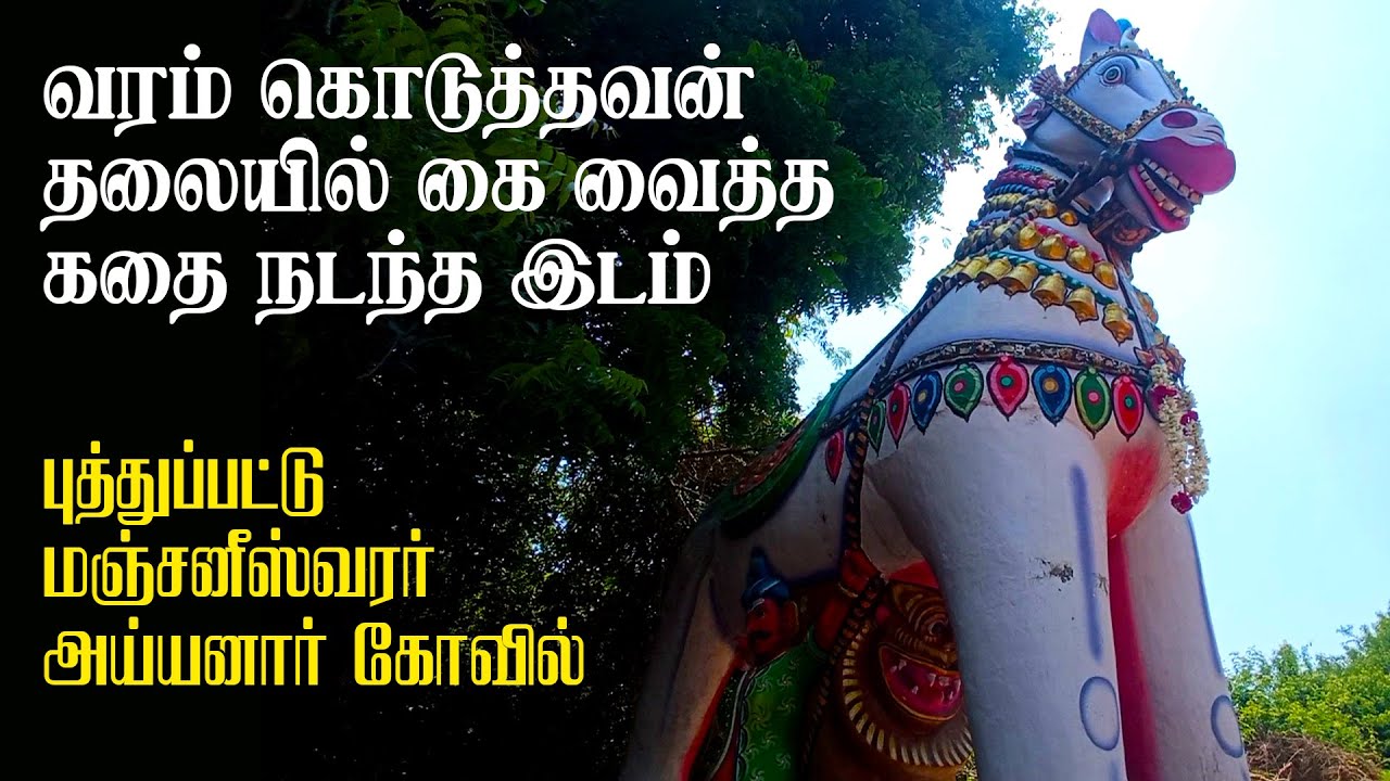 ஊரைக்காக்க வெள்ளைக் குதிரையில் பவனி வரும் அய்யனார் | புத்துப்பட்டு மஞ்சனீஸ்வரர் அய்யனார் காேயில்