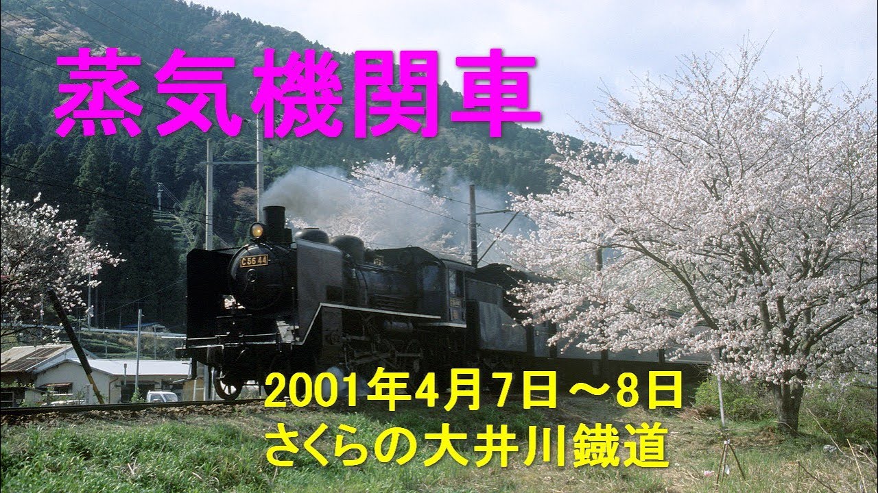 大井川鐡道 桜の沿線 2001年4月7日～8日