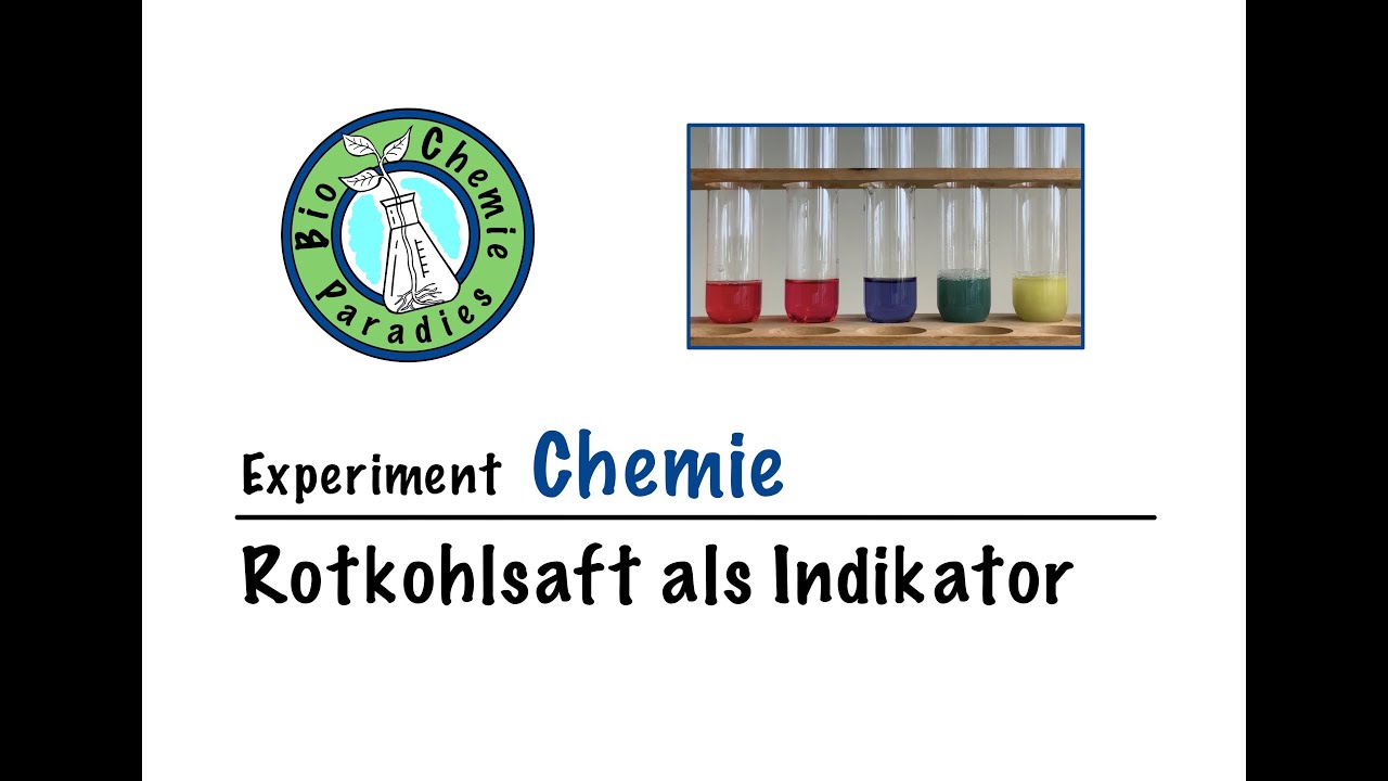 Experiment Chemie &ndash; Rotkohlsaft als Indikator