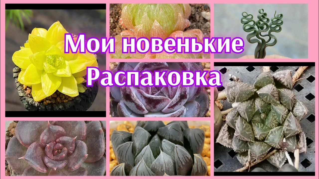 Новенькие из Китая🤗Распаковка 