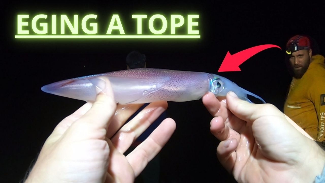 Pesca de CALAMARES a Eging de NOCHE  ¡No esperábamos tantos!