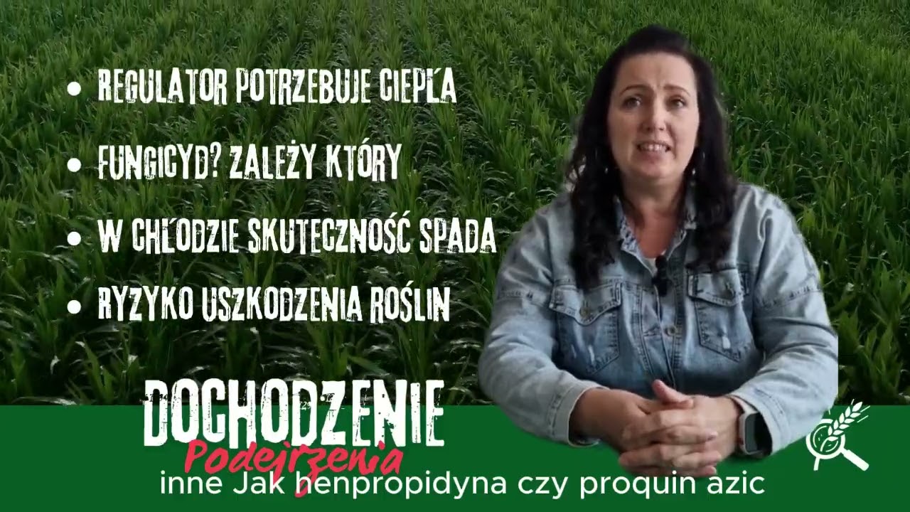 odc.17 Detektyw Kłos - T1 i regulacja w pszenicy