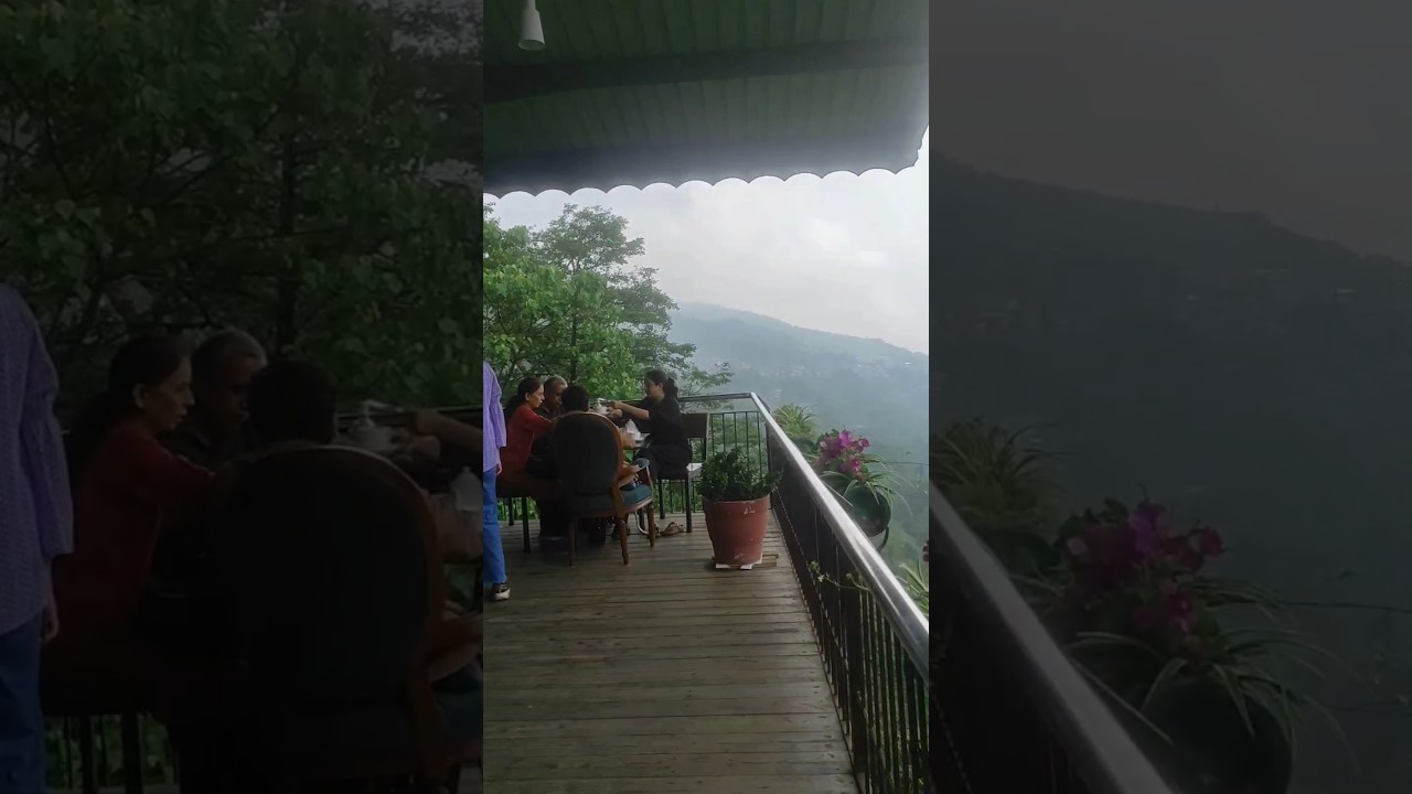View From Margaret's Deck Tea Lounge #darjeelinghill #travel #tealover