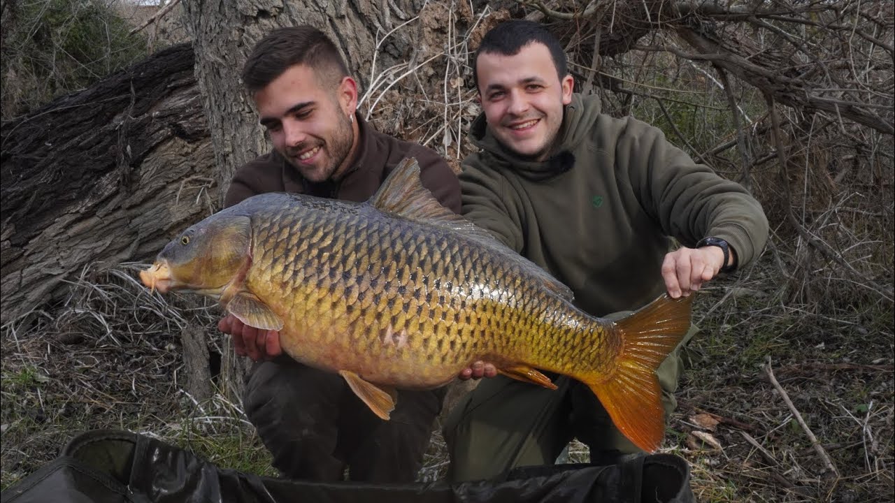 CARPFISHING EBRO, SESION EXPRESS antes de RIADA