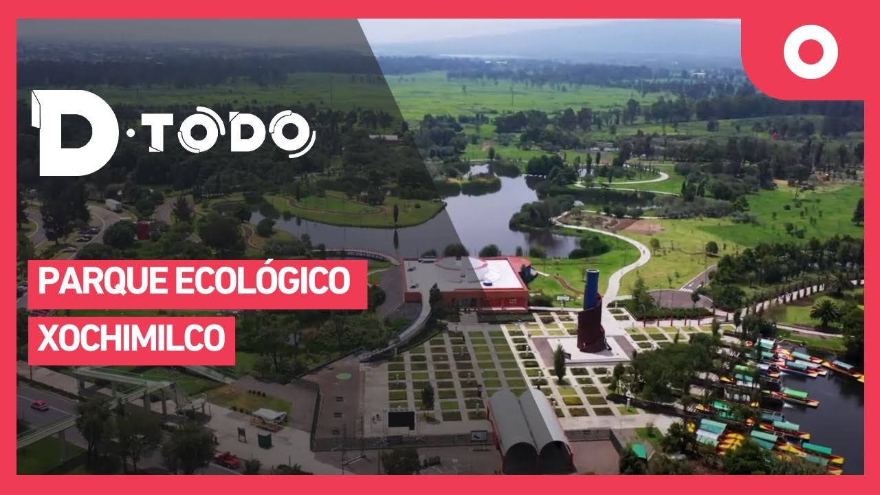 D Todo - Parque Ecológico Xochimilco (08/01/2025)