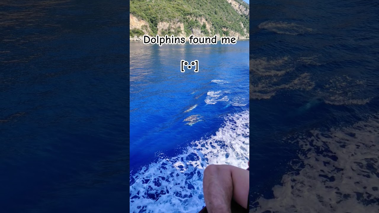 Dolphins found me [°•°] 