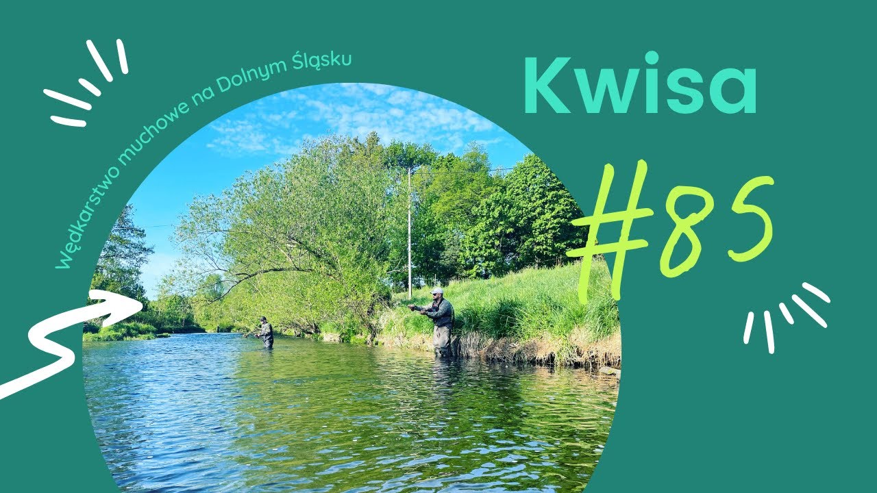 #85 Z muchówka na Kwisie. Leśna odcinek za no killem. Mocna EKIPA!!