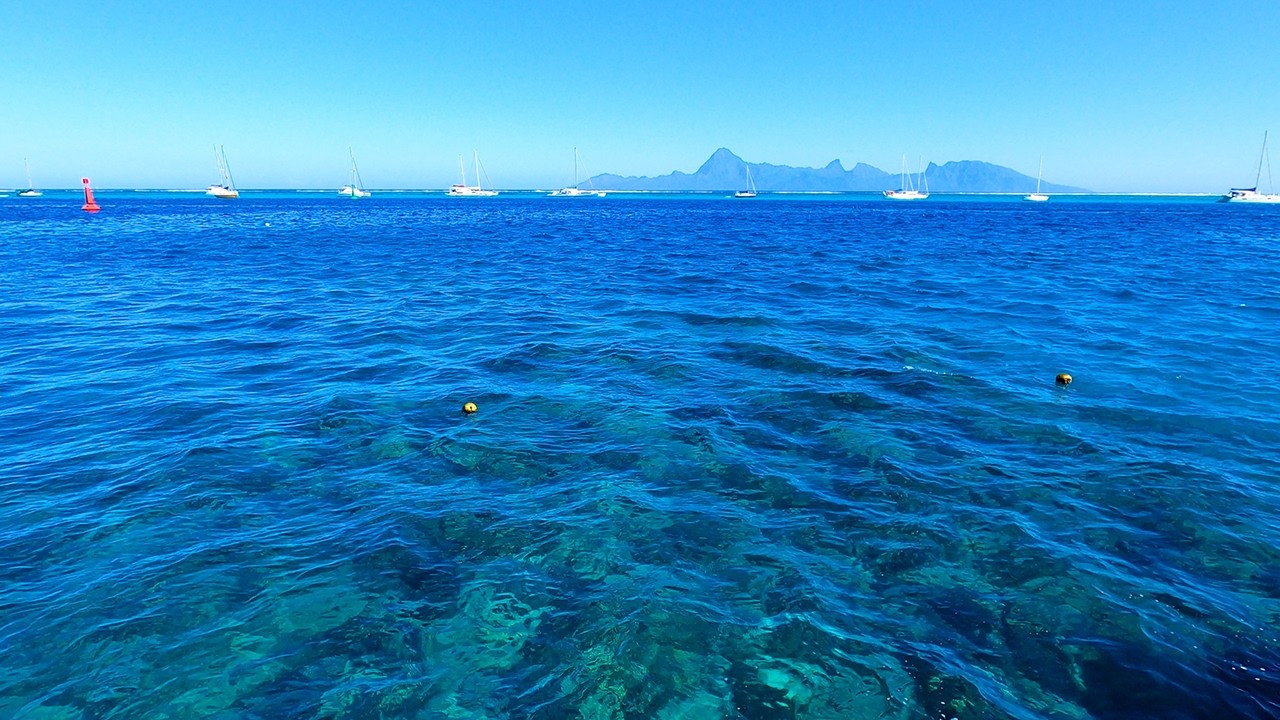 Deep Relaxation: Blue Ocean Waves in 4K