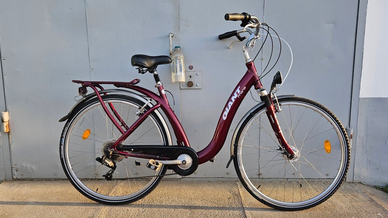 GIANT 28 Mono Dual Drive