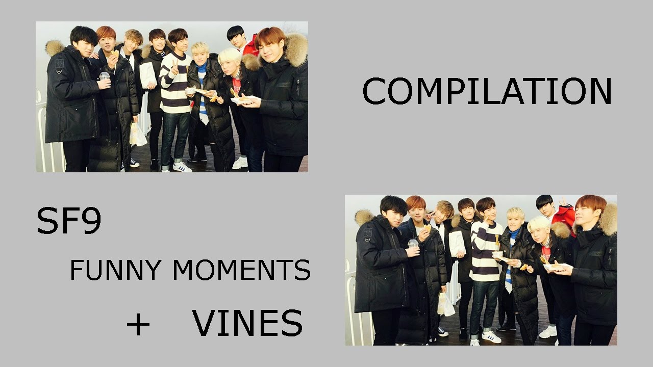 SF9 VINES COMPILATION + FUNNY MOMENTS #2