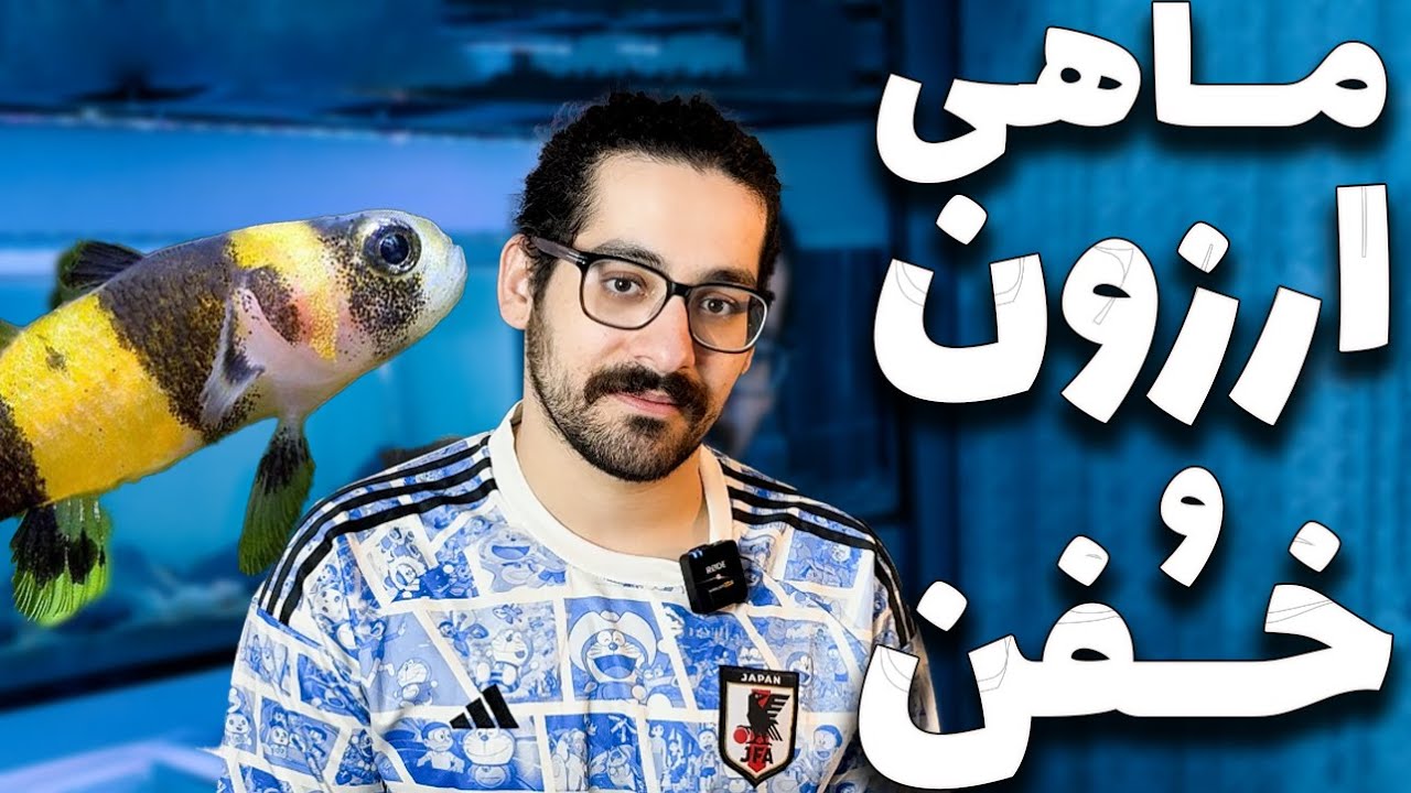 🐠 10 ماهی خفن آکواریومی زیر 100 هزار تومن!🔥😍