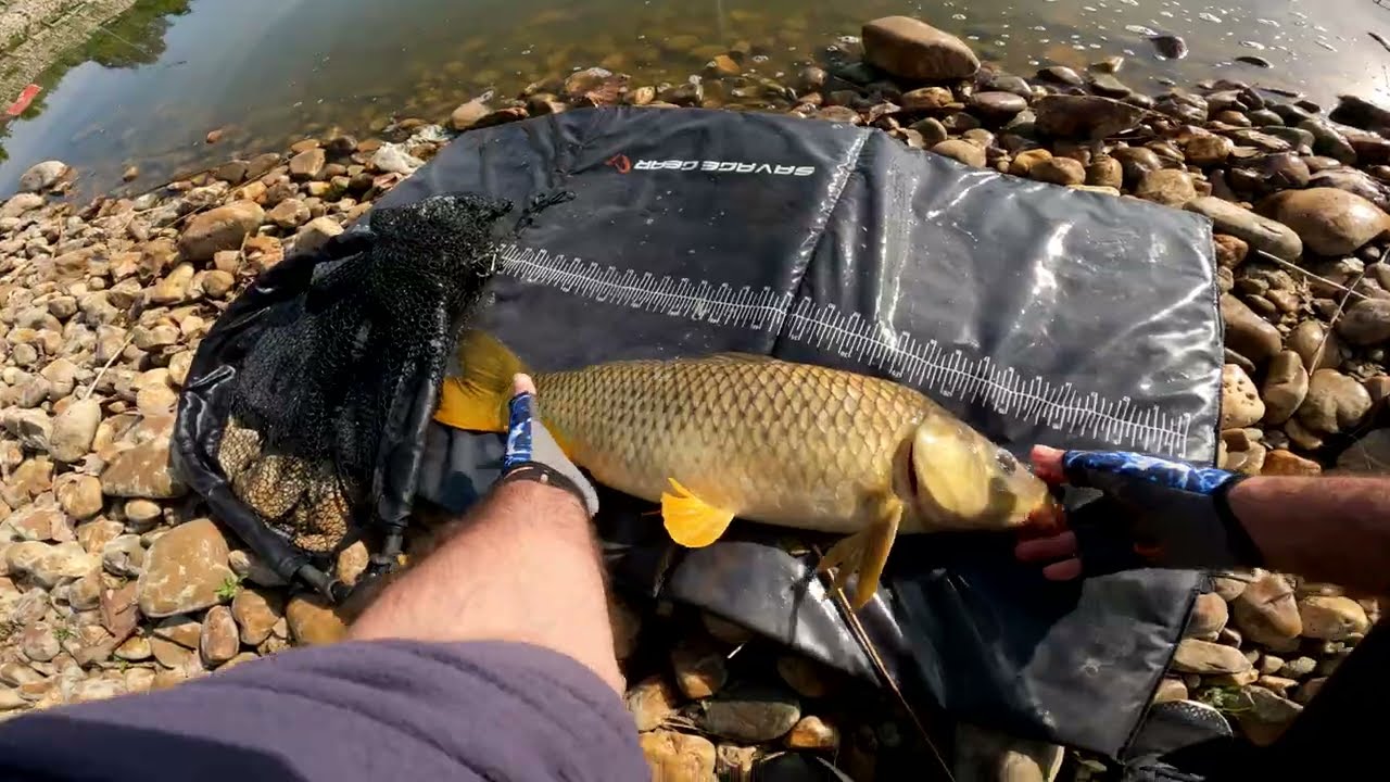 Pesca ás carpas na barragem dos Patudos (5K a 60FPS)