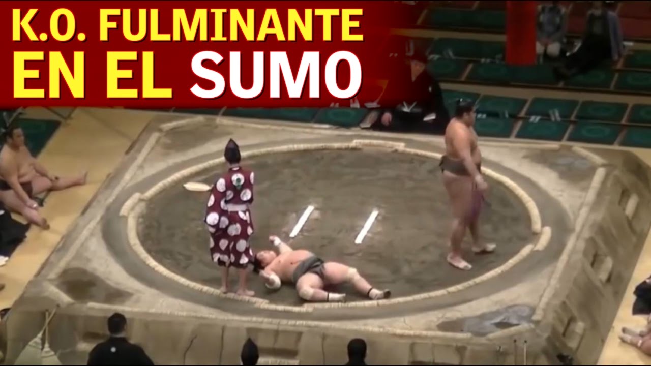 El KO m&aacute;s angustioso de la historia del sumo: &iexcl;100% grogui! | Diario AS