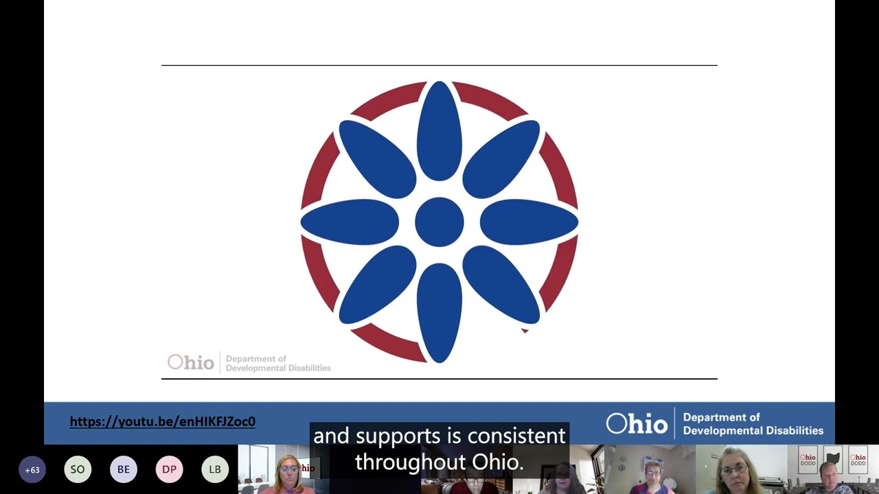 OhioISP Overview – Webinar for Waiver Providers