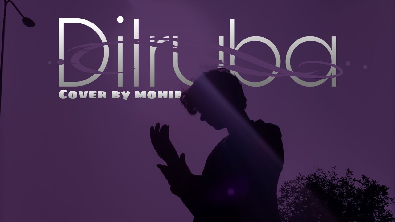 DILRUBA cover song