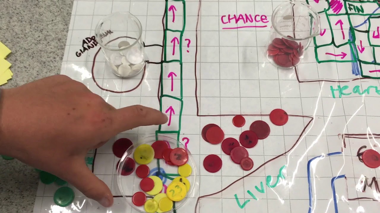 So I invented a Biology board game in 60 minutes.