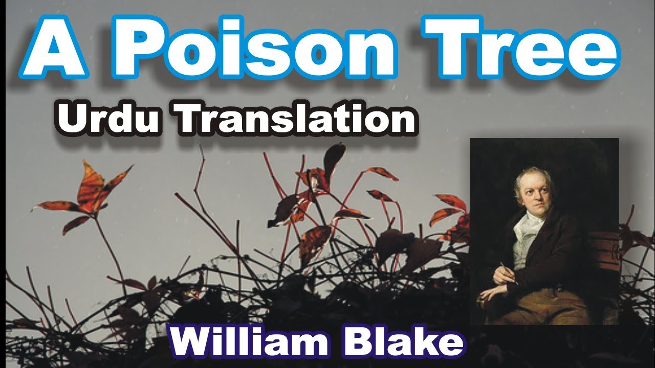 A Poison Tree; Urdu Translation: William Blake