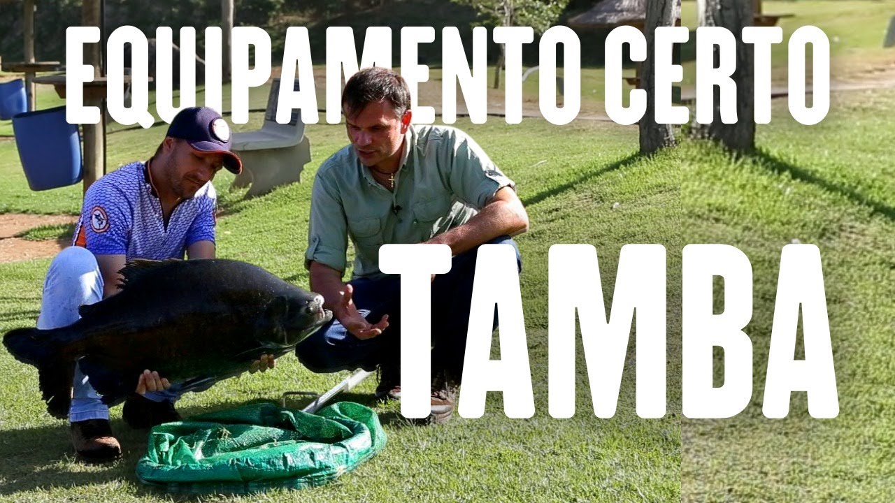 Equipamento de pesca para tamba! Como escolher o melhor.