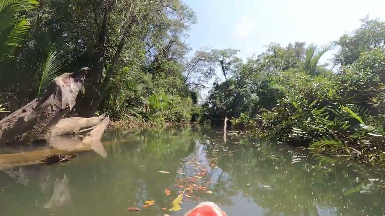 Thailand Teil 6 - Kajaktour Little Amazon Takuapa